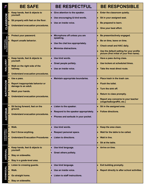 DHMS PBIS MATRIX 